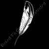 ES3feathers03bw