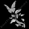 ES3butterfly05bw