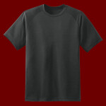 Dry Zone™ Short Sleeve Raglan T Shirt